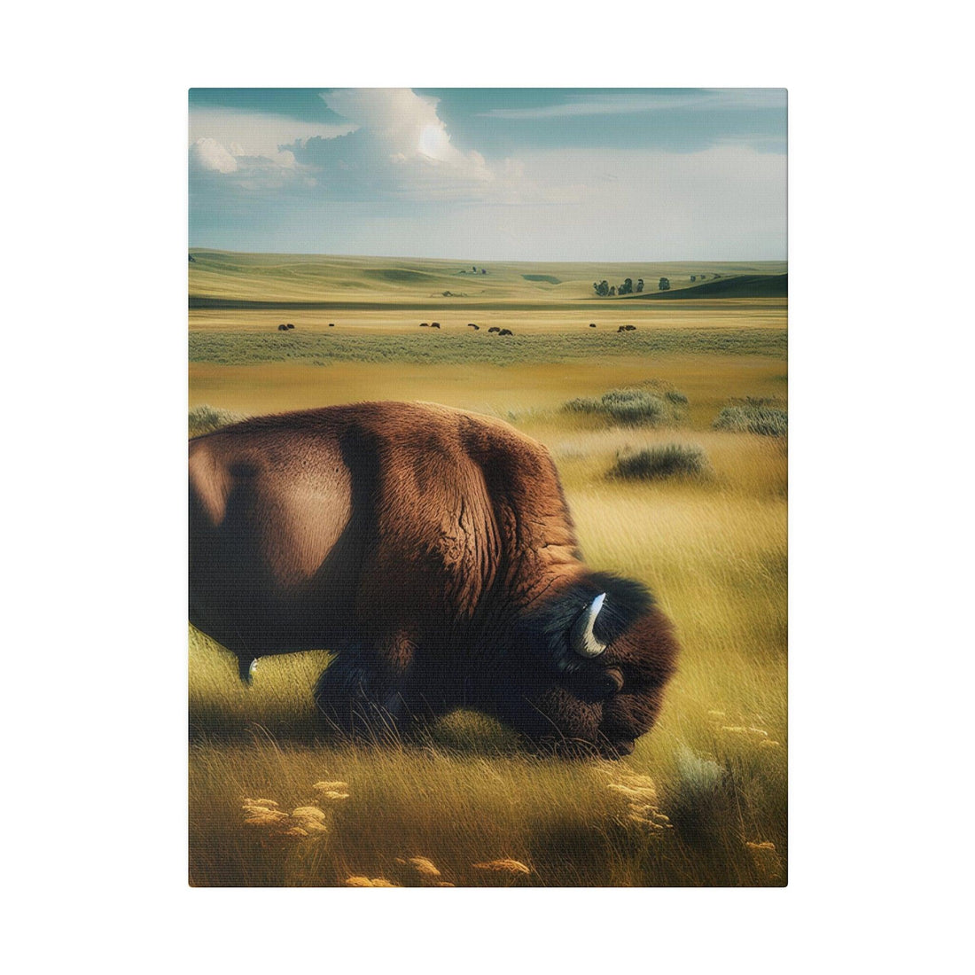 "Buffalo Majesty: Impressions of the Wild Frontier" - The Alice Gallery
