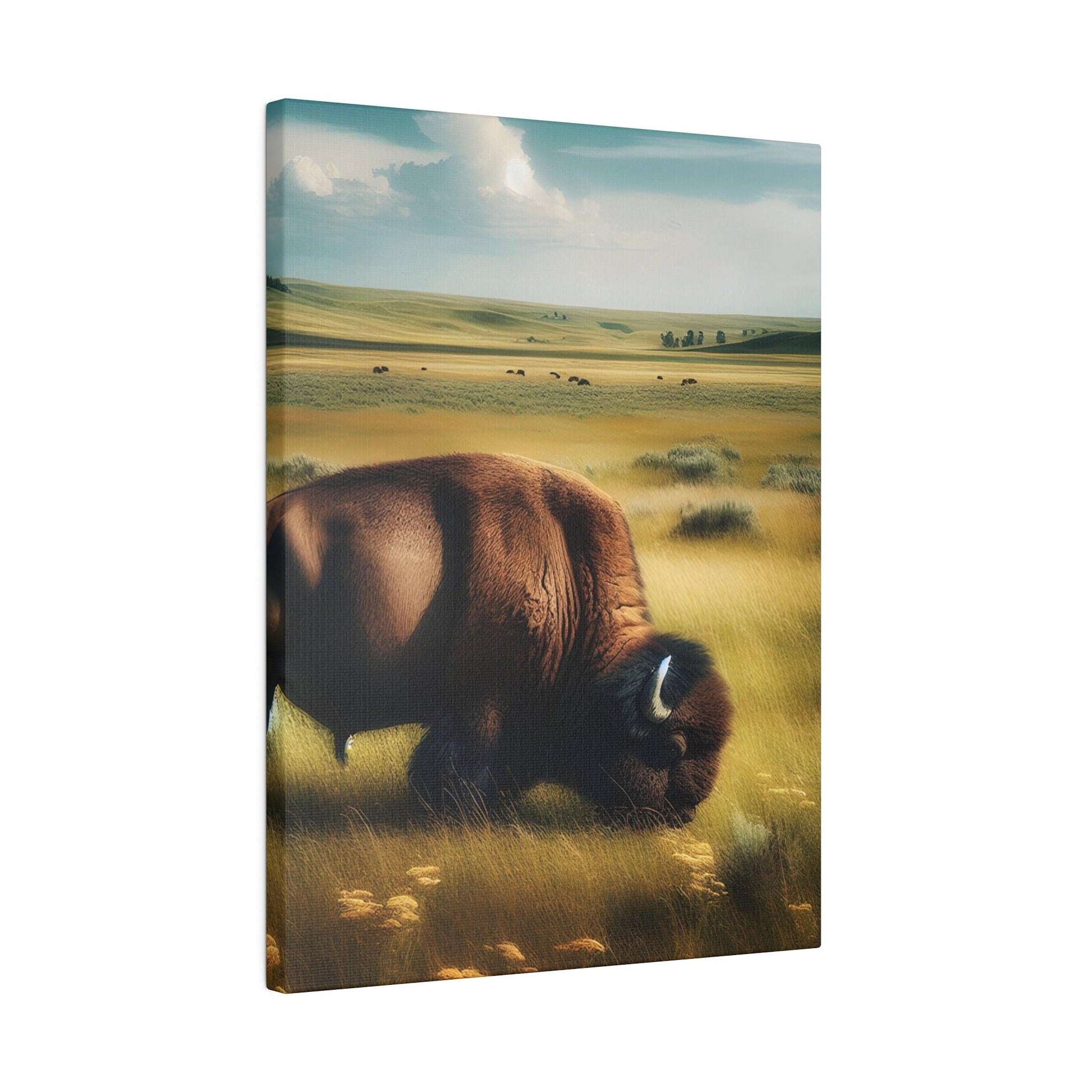 "Buffalo Majesty: Impressions of the Wild Frontier" - The Alice Gallery